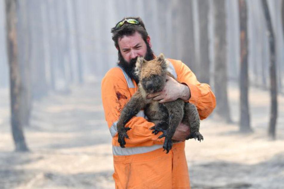 Wildtierretter Simon Adamczyk trägt einen Koala aus einem brennenden Wald in der Nähe von Cape Borda auf Kangaroo Island, südwestlich von Adelaide.