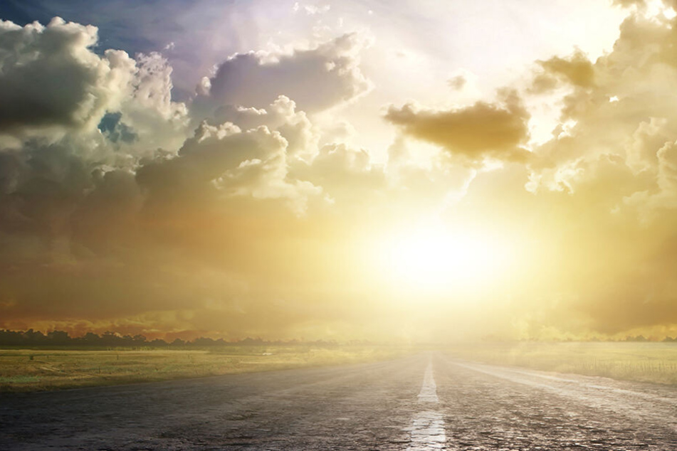 Der Fahrer wurde von der Sonne geblendet und kam von der Straße ab.