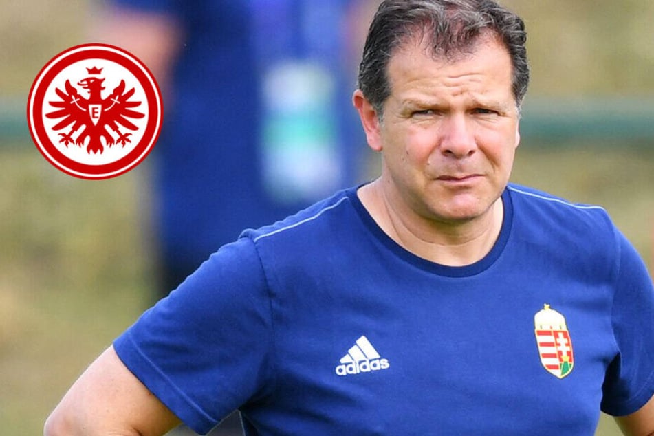 So gut wie sicher: Andreas Möller wird Nachwuchs-Chef bei Eintracht Frankfurt