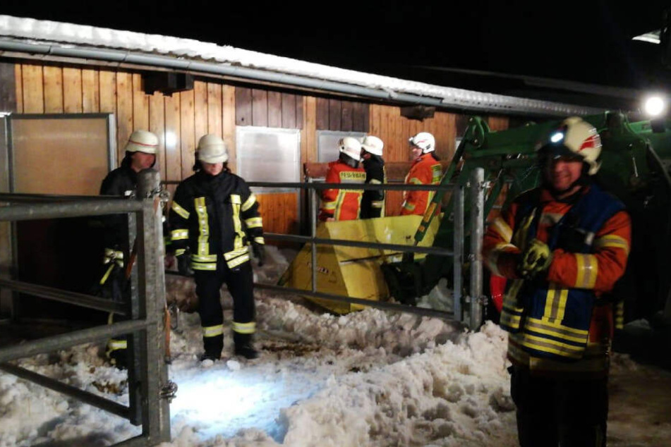 Die Einsatzkräfte befreiten die Tiere aus dem zusammengestürzten Stall.