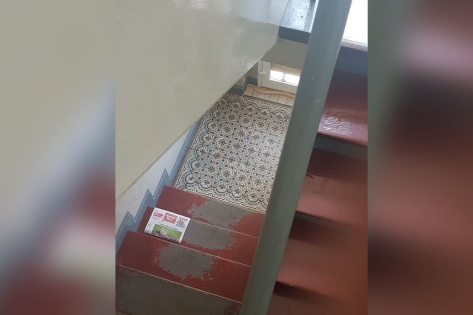 In diesem Treppenhaus wurde die Monokelkobra gesichtet.