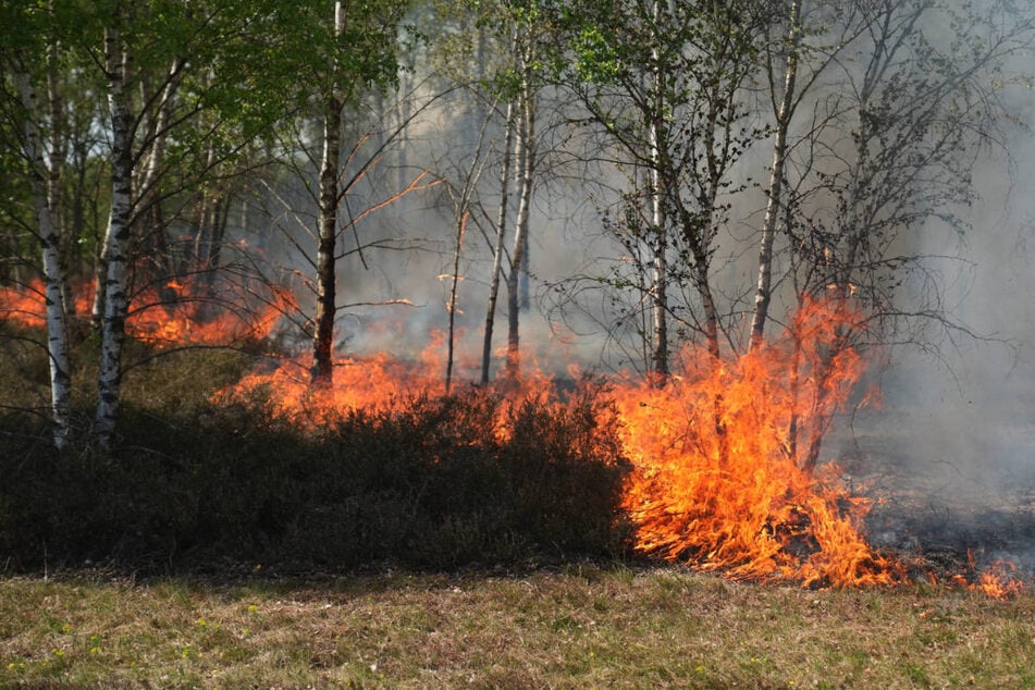 Auf einem früheren Militärgelände bei Jüterbog lodern erneut Flammen. (Archivfoto)