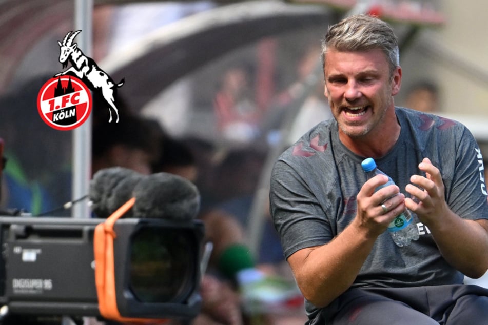 FC-Köln-Coach Kwasniok mahnt vor Bundesliga-Start: "Gehen als Underdog in die Saison"