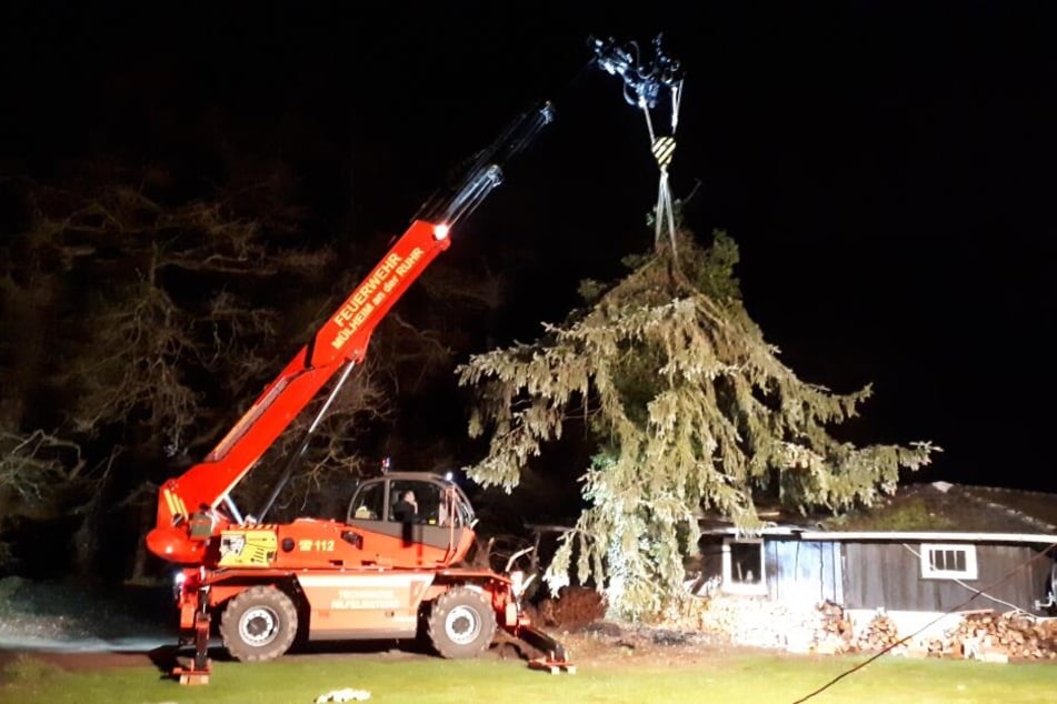 In Mülheim an der Ruhr war ein Baum durch ein Hausdach geschlagen.