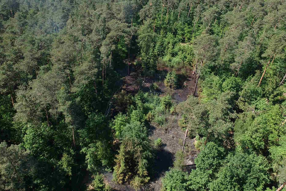Diese Aufnahmen halfen den Kameraden den Waldbrand einzuschätzen.