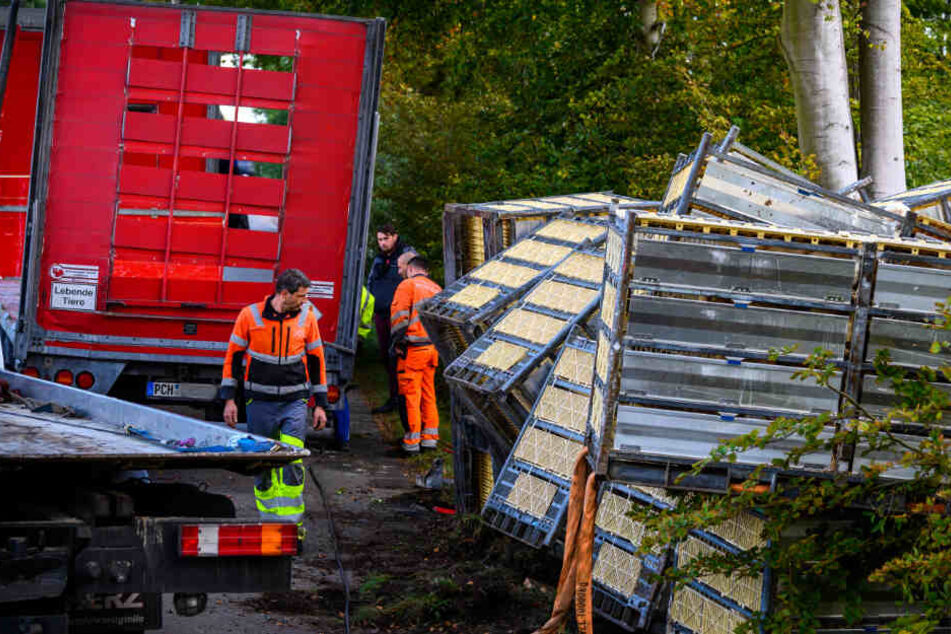 Mitarbeiter einer Bergungsfirma sichern die Transportkäfige die neben der Ortsverbindungsstraße liegen.