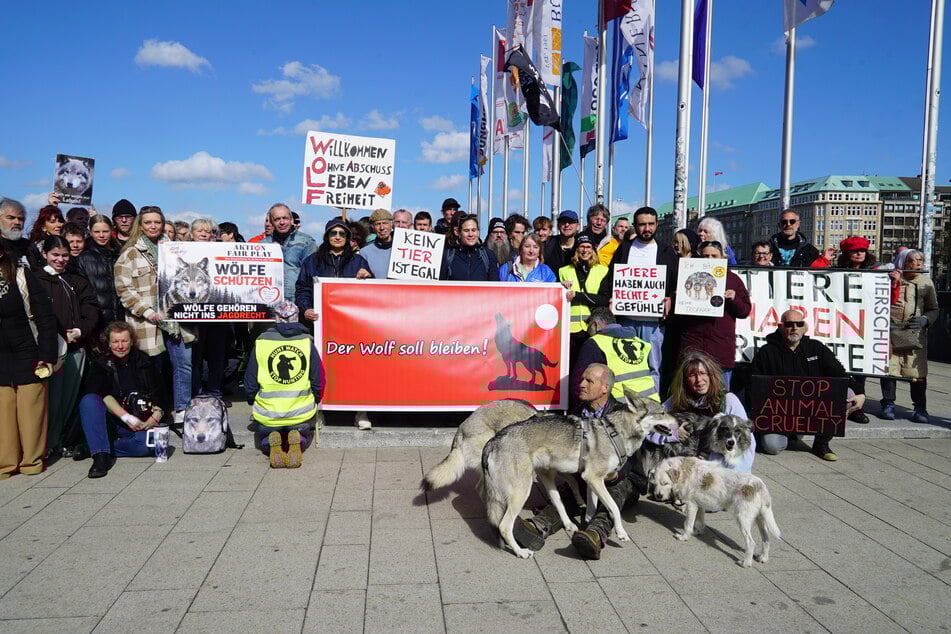 Am Ostersonntag hatten in Hamburg rund 150 Leute für die Freilassung des Wolfs demonstriert.