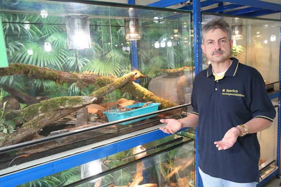 Michael Sperlich vor einem Terrarium: Besonders die Abgabe von Reptilien hat sich in letzter Zeit deutlich vermehrt.
