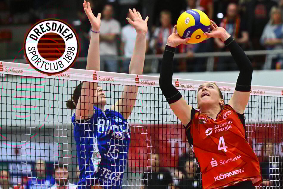 Entscheidung steht an! Kann der DSC ins CEV-Cup-Finale einziehen?