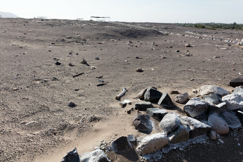 Archeologists have uncovered and preserved many different ancient carvings in the south of Peru.