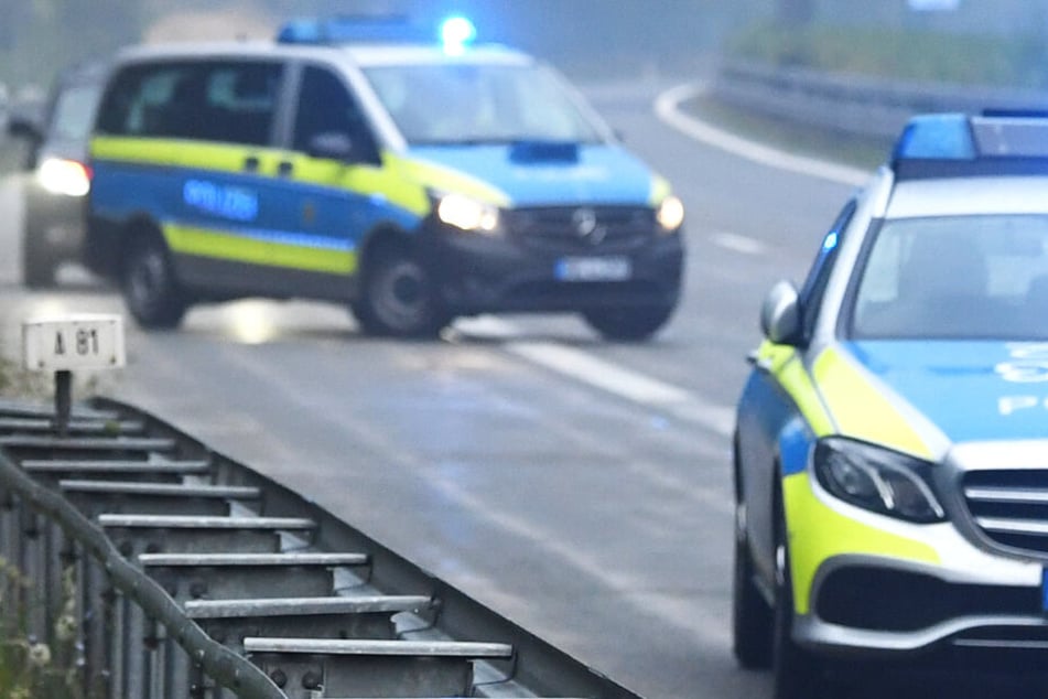 Polizisten konnten die ausgebüxten Pferde letztlich einfangen. (Symbolbild)