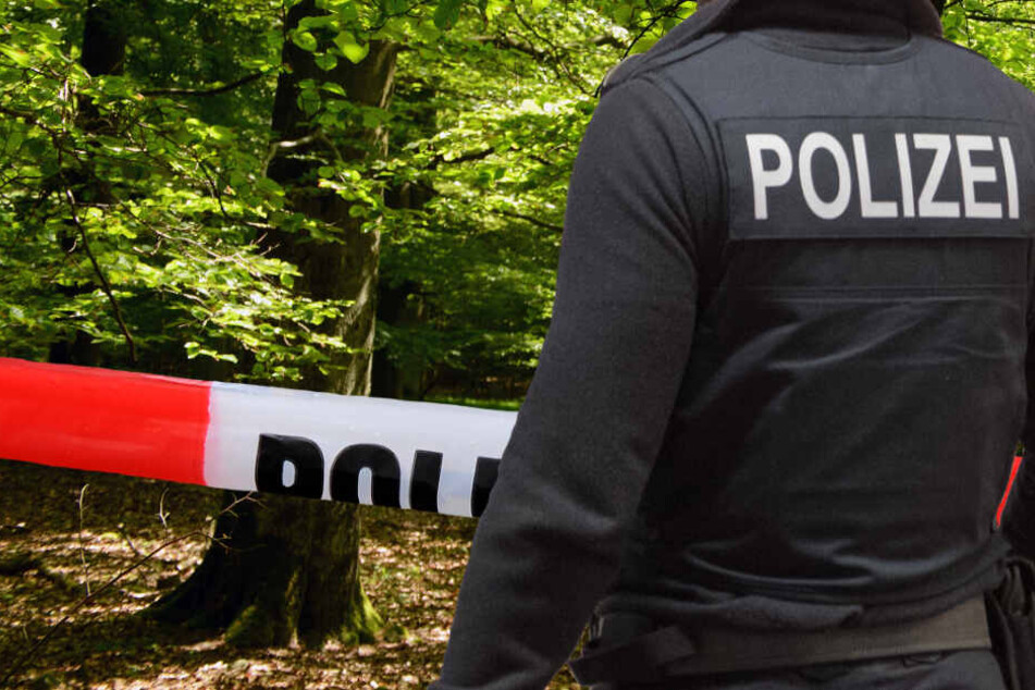 Der Tote wurde in einem Wald bei Otzberg im Landkreis Darmstadt-Dieburg gefunden (Symbolbild).