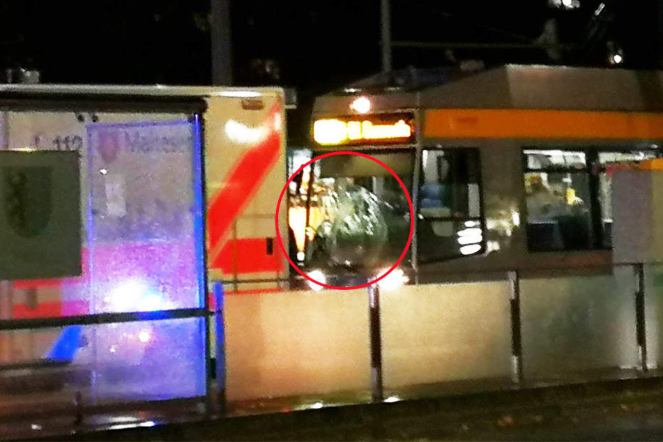 Die Straßenbahn erfasste die zwei Männer (29, 53) an der Haltestelle "Neues Rathaus" frontal. Die eingedrückte Frontscheibe ist deutlich zu erkennen (Kreis).