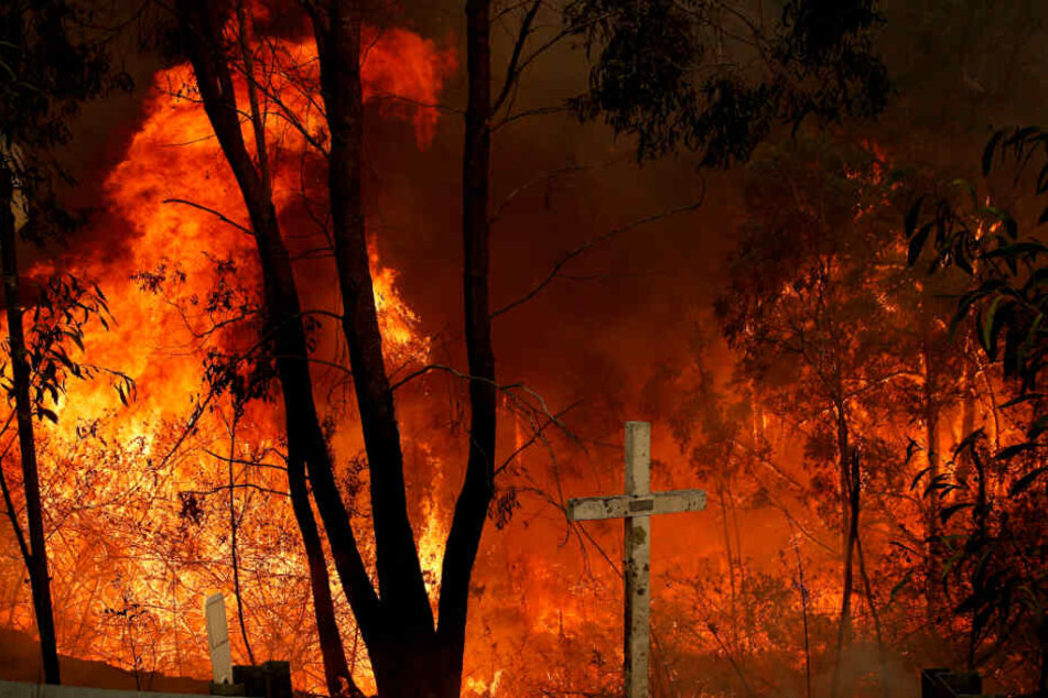 Bereits seit Oktober halten viele Buschbrände in Teilen Australiens die Menschen in Atem.