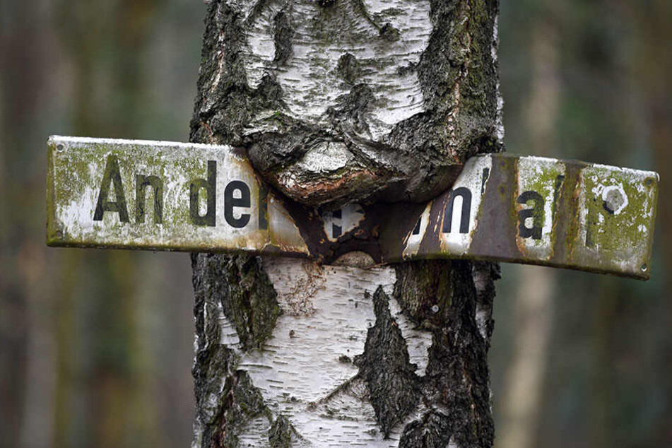 Ein eingewachsenes Straßenschild mit der Aufschrift "An der Stammbahn" zeugt von der einstigen Verbindung von Berlin nach Potsdam.