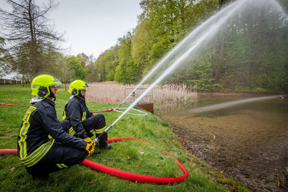 Trockenheit bedrohte im April 2020 das Leben der Frösche im Schönherrpark. Die Feuerwehr half mit Wasser.