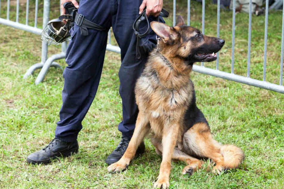 Auch Suchhunde kamen bei der Aktion zum Einsatz. (Symbolbild)