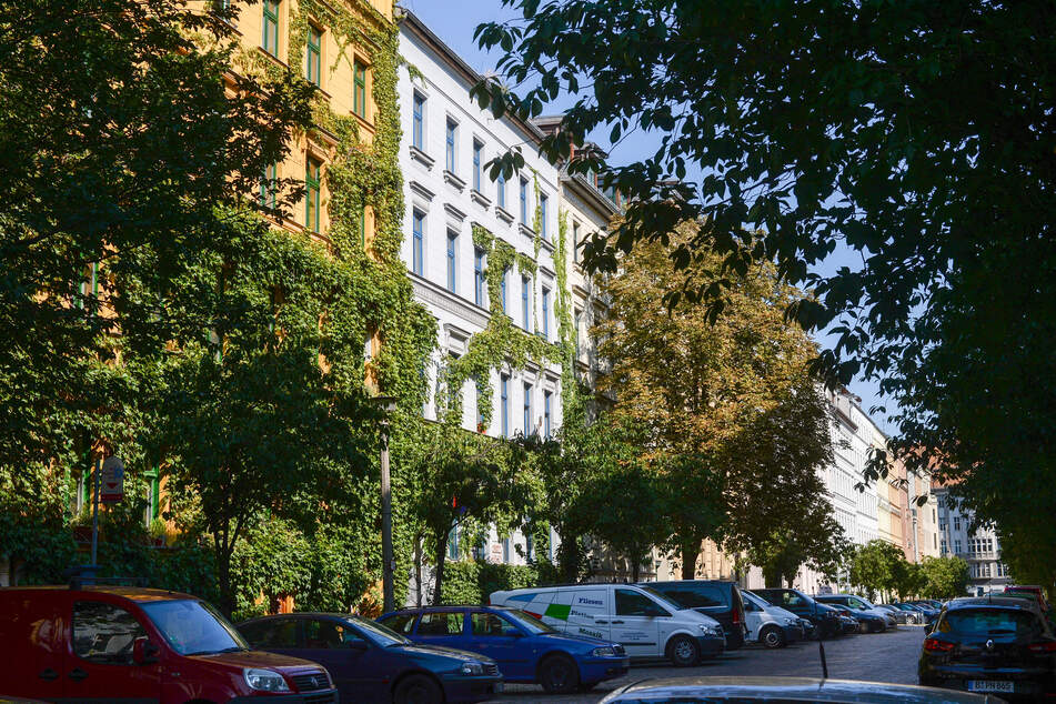 Auch die Bürger können etwas dafür tun, dass es in der Stadt grün bleibt.
