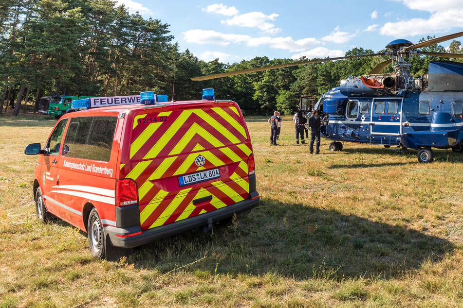 Waldbrand in Lieberoser Heide wütet weiter: 50 Hektar in Flammen