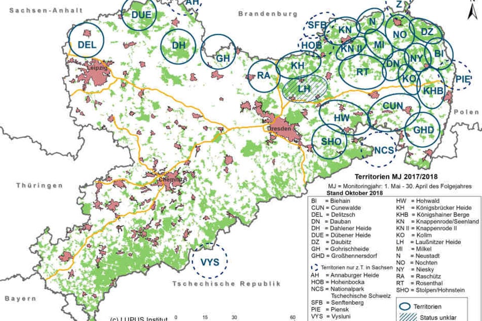 Die Grafik zeigt die Wolfsvorkommen in Sachsen im Monitoringjahr 2017/18 (Stand Oktober 2018).