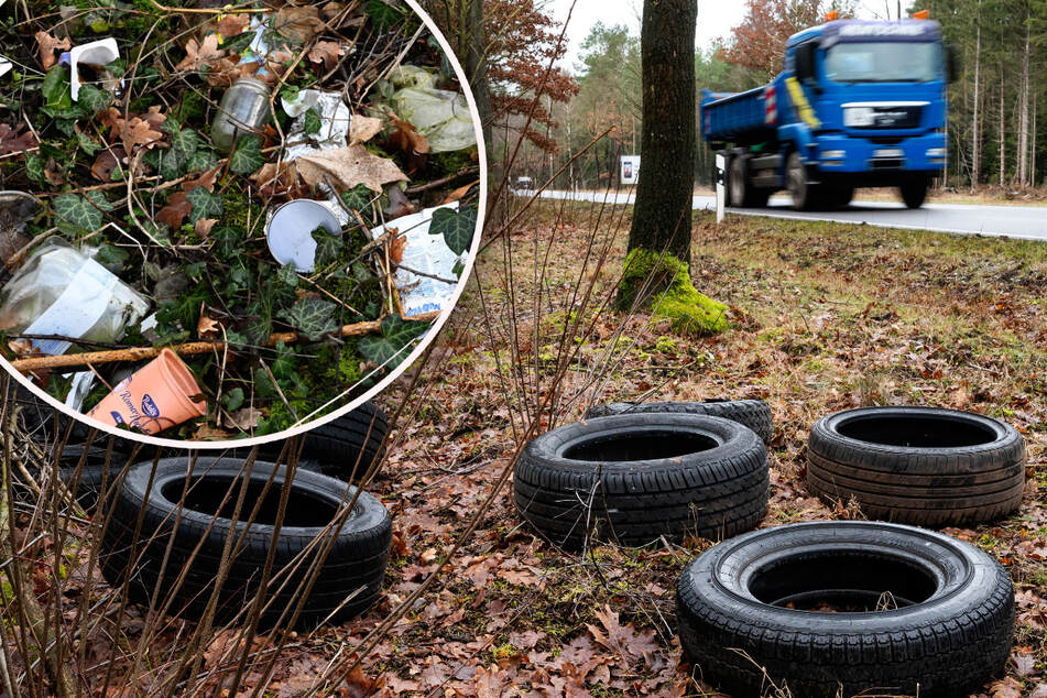Zerfahrene Wege, Müll, Quad-Fahrer: Immer mehr Ärger in Sachsens Wäldern