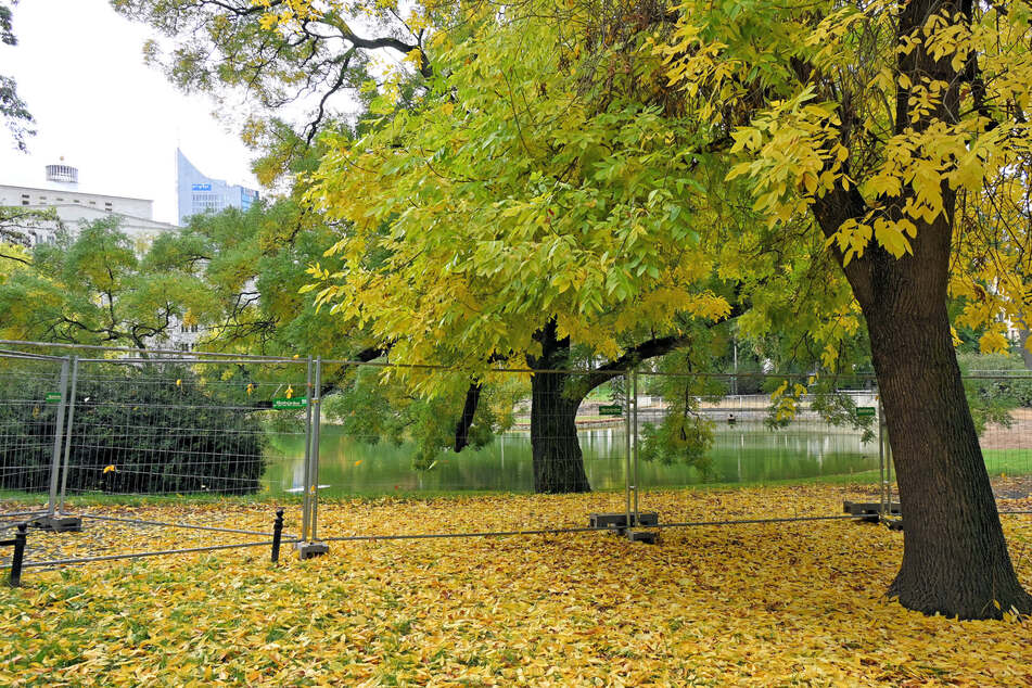 Noch ist der Teich eingezäunt, die offizielle Eröffnung ist aber noch im Oktober geplant.