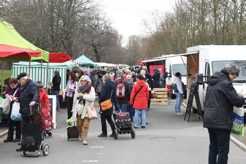 Der Lingnermarkt ist Dresdens größter Wochenmarkt, freitags bieten hier bis zu 130 Händler ihre Waren an.