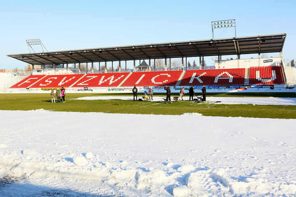 Der Schnee ist inzwischen vom rasen verschwunden.