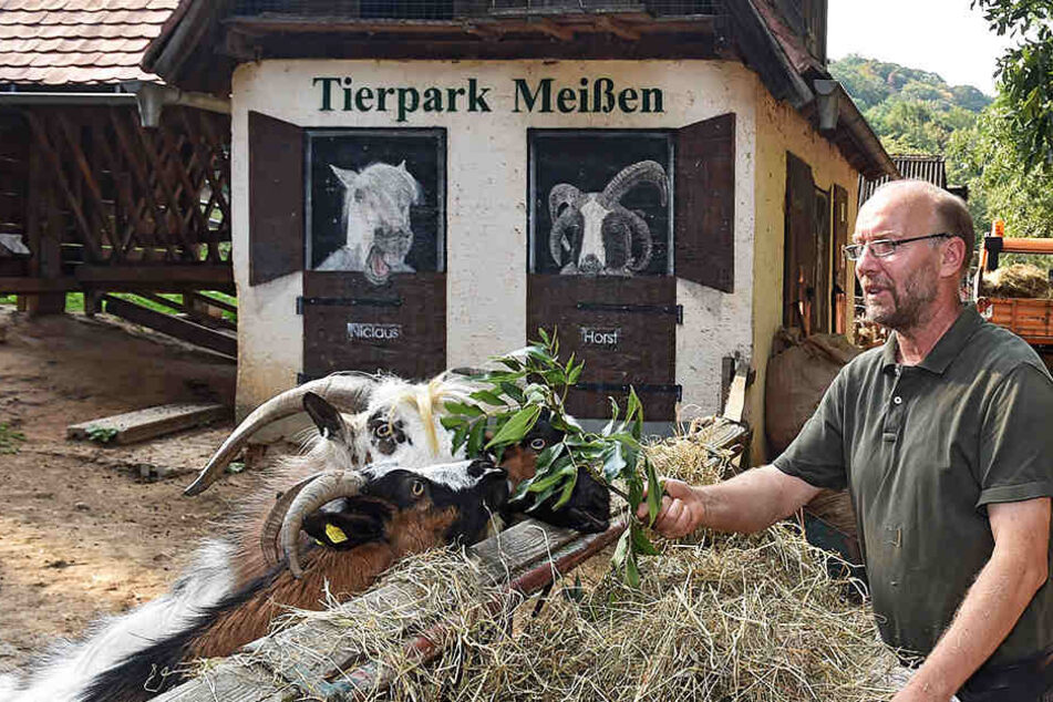 Tierpark-Chef Heiko Drechsler (55) fehlen Tausende Euro in der Kasse.