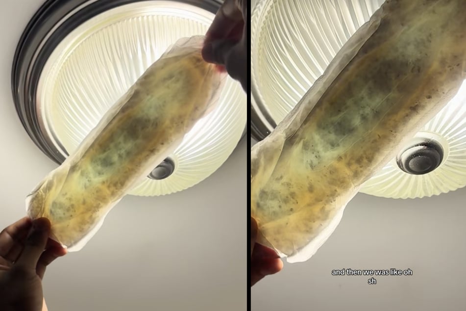 Als eine Frau eine Damenbinde gegen das Licht hält, erscheinen schwarze Flecken. Die TikTokerin ist sich sicher: Es ist Schimmel!
