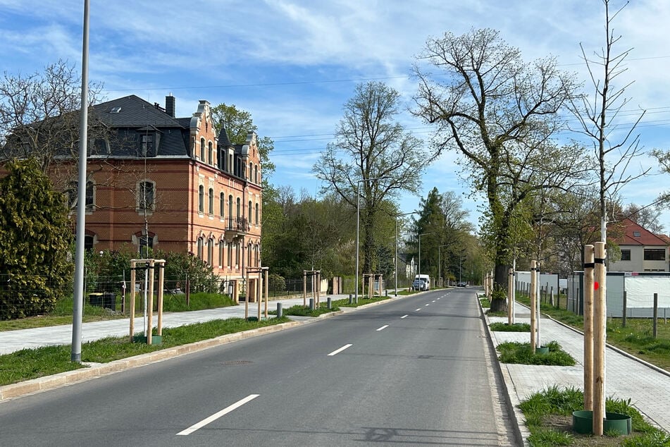 Die Fahrbahn hat nun eine einheitliche Breite von sieben Metern erhalten.