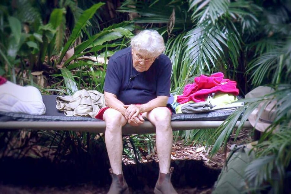 Tommi Piper (77) hat keinen Grund zum Lachen. Nach seiner Plauderei im Dschungel könnte ihn seine Frau vor die Tür setzen.