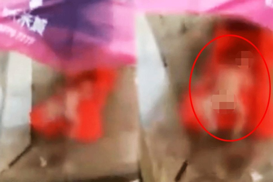 Unerträgliche Bilder: Fast muss man sagen: Zum Glück extrem unscharf.