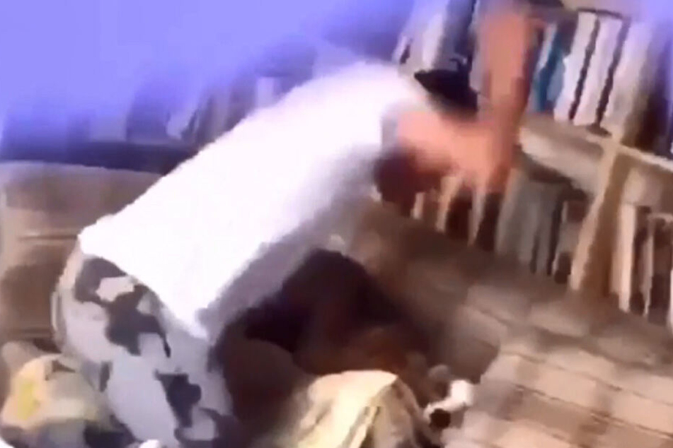 Immer wieder schlägt er brutal auf das hilflose Tier ein, was sich ängstlich auf dem Sofa zusammenkauert.