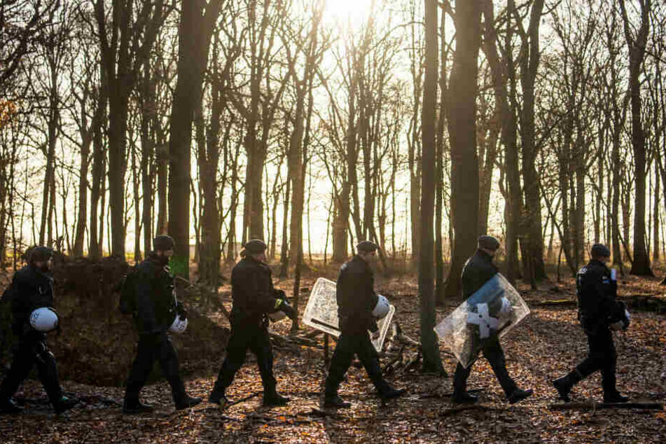 Im vergangenen Herbst wurden 86 Baumhäuser geräumt. Im Januar wurden bereits wieder knapp 50 neue gezählt.