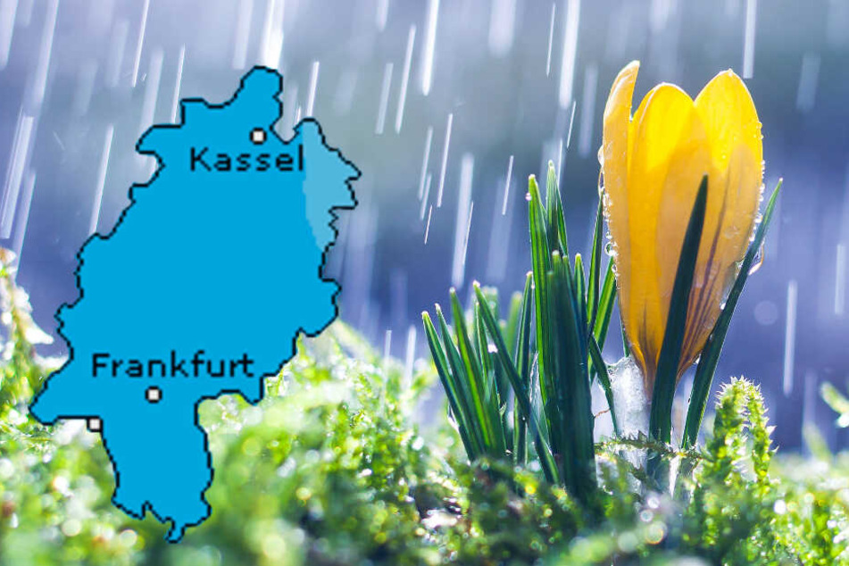Auch Wetteronline.de (Grafik) sagt für den Mittwoch ein hohes Niederschlagsrisiko für Hessen voraus.