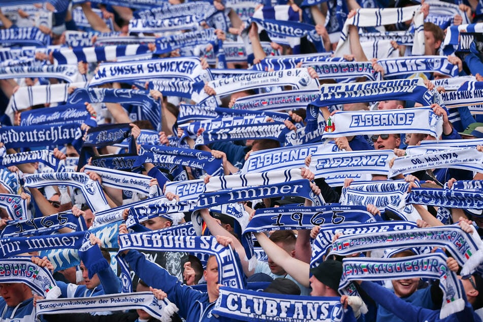 Der Artikel sorgt bei den FCM-Fans für Empörung.
