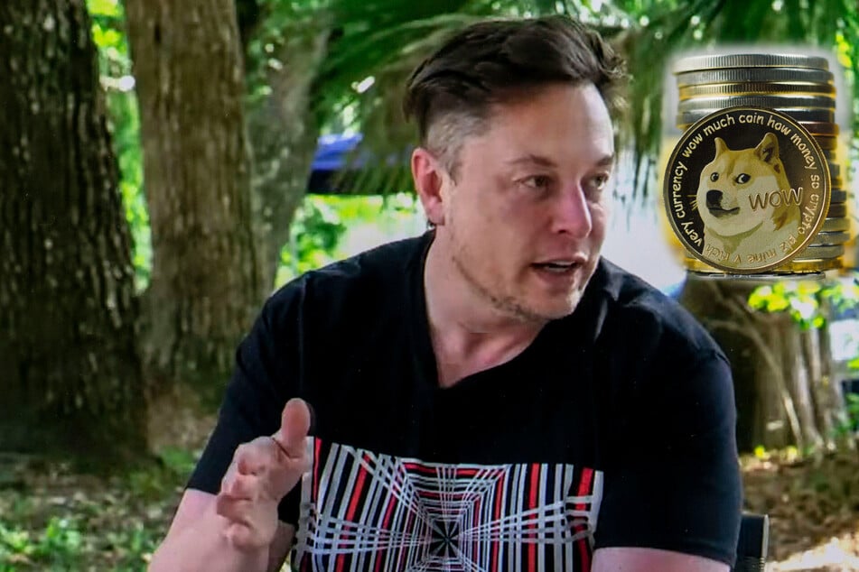Elon Musk: The Dogefather: Elon Musk's midnight Tweets are spiking Dogecoin once again