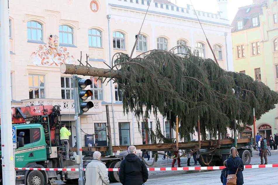 2015 war ein Desaster: Der Baum wurde als "Krüppelfichte" verspottet.