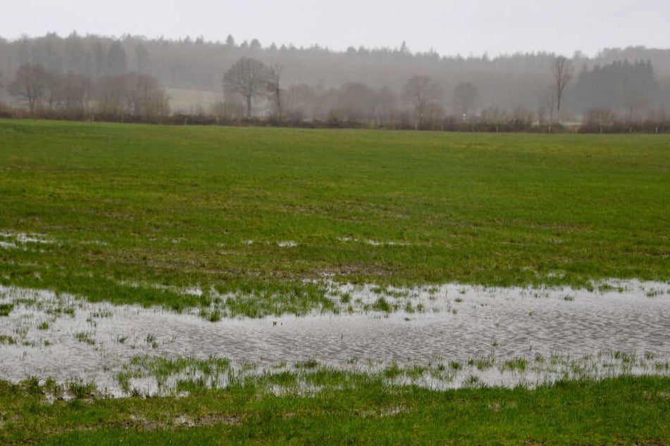 Eine große Pfütze steht auf einem Feld bei Heinkenborstel in Schleswig-Holstein.