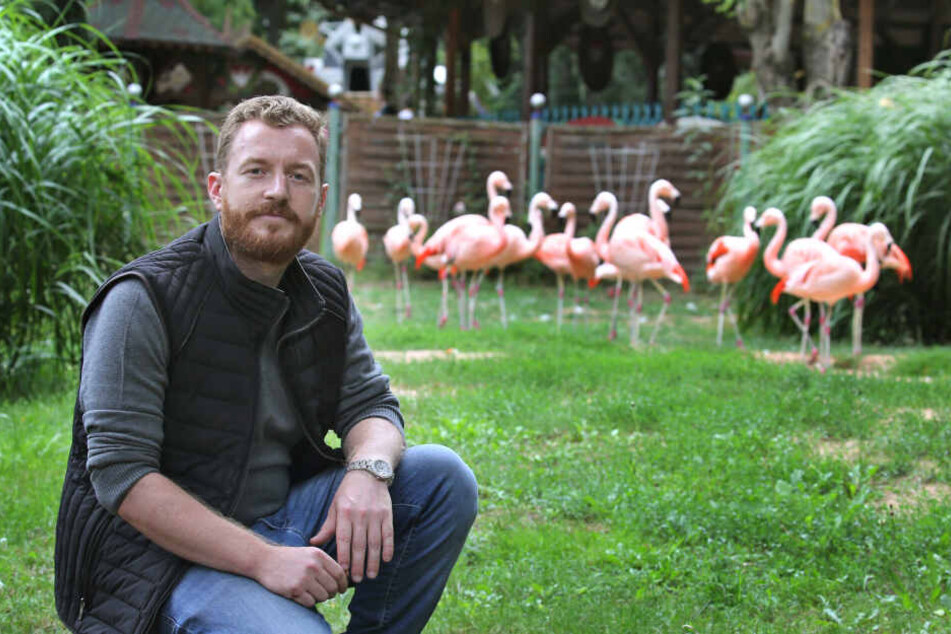 Parkbetreiber Matthias Mölter sitzt im Freizeit-Land Geiselwind vor seinem Flamingo-Gehege.