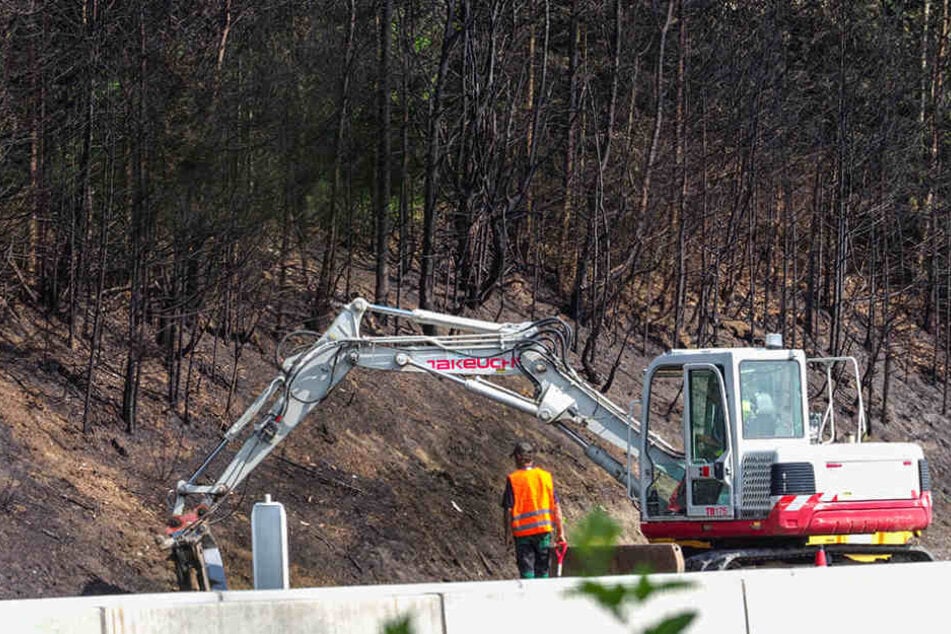 Ein Bagger bearbeitet das Waldstück, das durch die extreme Hitze des Feuers
selbst brannte.