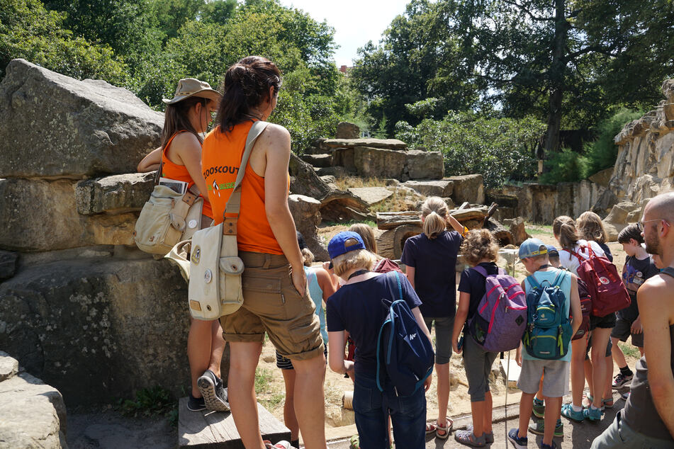 Im Dresdner Zoo gibt es Ferien-Workshops.