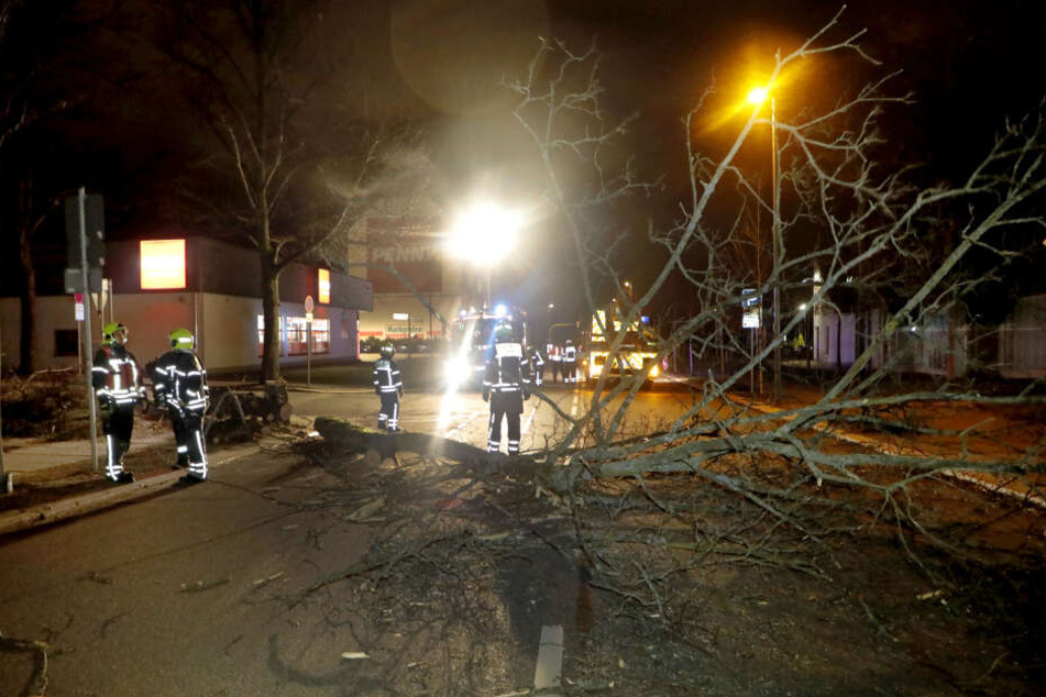 Ein Baum blockierte die Heinrich-Schütz-Straße.