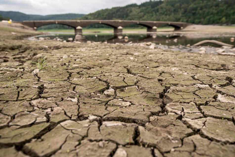 Das Foto zeigt den Edersee in Nordhessen im August 2018. Die Aseler Brücke im Hintergrund ist normalerweise unter Wasser.