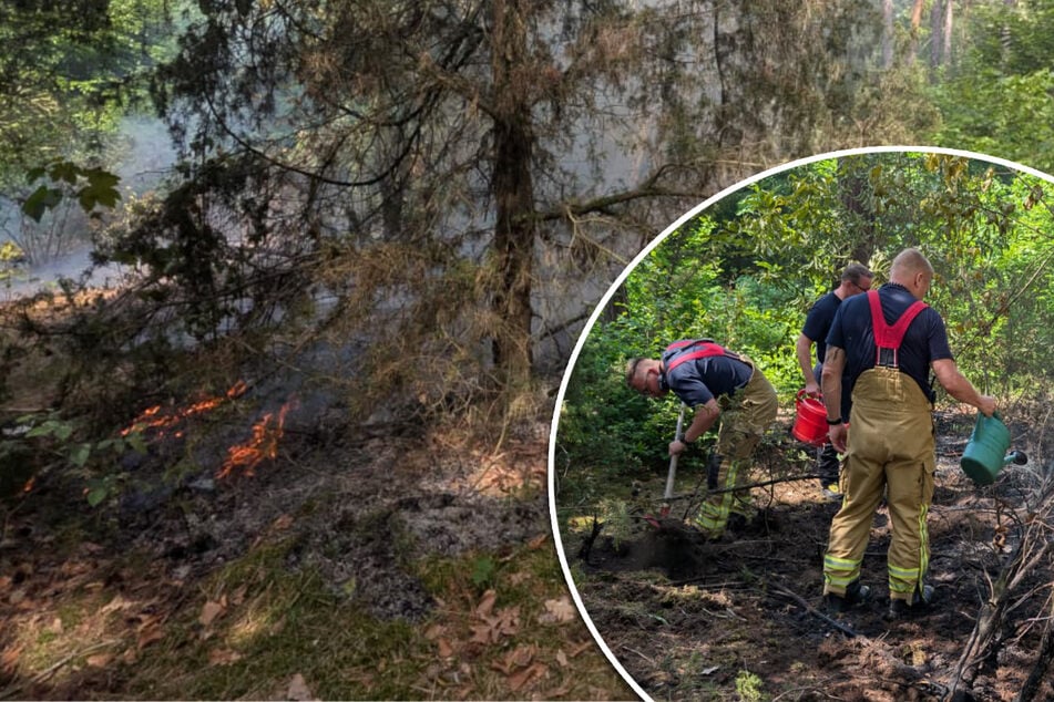 Dresden: Auch mit "Schuhgröße 48": Feuerwehr und Passanten kämpfen stadtweit gegen Brände