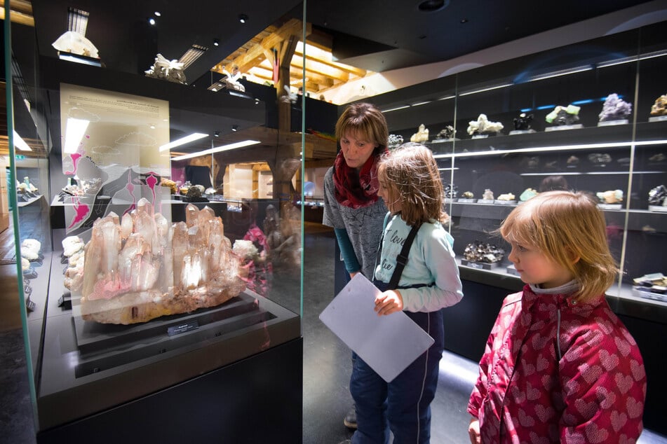 Die Ausstellung terra mineralia ist im Schloss Freudenstein untergebracht. (Archivbild)