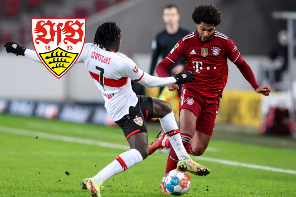 Lange Verletzungspause: Auf ihn kann der VfB Stuttgart wieder bauen