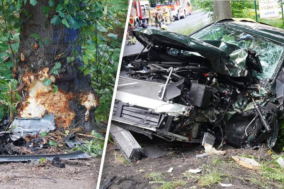 Schwerer Unfall in Pulsnitz: BMW kracht gegen Baum - zwei Menschen schwer verletzt