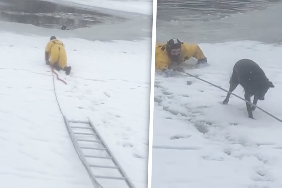 Dog stuck in frozen pond saved in heroic firefighter rescue